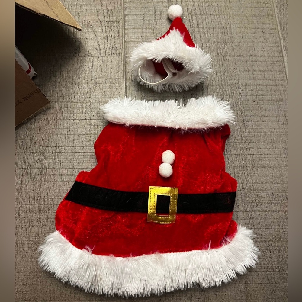 Santa Costume For Guinea Pigs